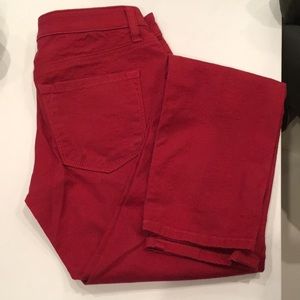 Ann Taylor Loft Pants